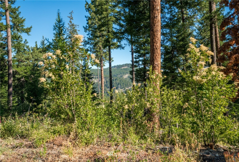 6768 Forest Ridge, Wenatchee, Washington 98801, 4 Bedrooms Bedrooms, ,3 BathroomsBathrooms,Residential,For Sale,Forest Ridge Heights,Forest Ridge,NWM1817860