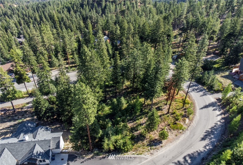 6768 Forest Ridge, Wenatchee, Washington 98801, 4 Bedrooms Bedrooms, ,3 BathroomsBathrooms,Residential,For Sale,Forest Ridge Heights,Forest Ridge,NWM1817860