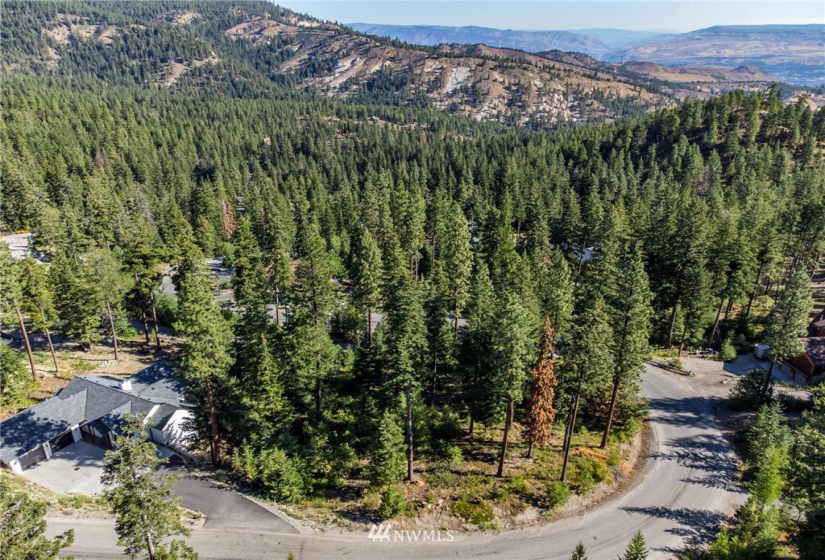 6768 Forest Ridge, Wenatchee, Washington 98801, 4 Bedrooms Bedrooms, ,3 BathroomsBathrooms,Residential,For Sale,Forest Ridge Heights,Forest Ridge,NWM1817860