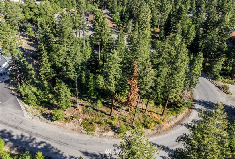 6768 Forest Ridge, Wenatchee, Washington 98801, 4 Bedrooms Bedrooms, ,3 BathroomsBathrooms,Residential,For Sale,Forest Ridge Heights,Forest Ridge,NWM1817860