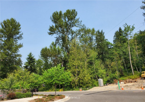 0 Monterey, Renton, Washington 98056, ,Land,For Sale,Monterey,NWM1818010