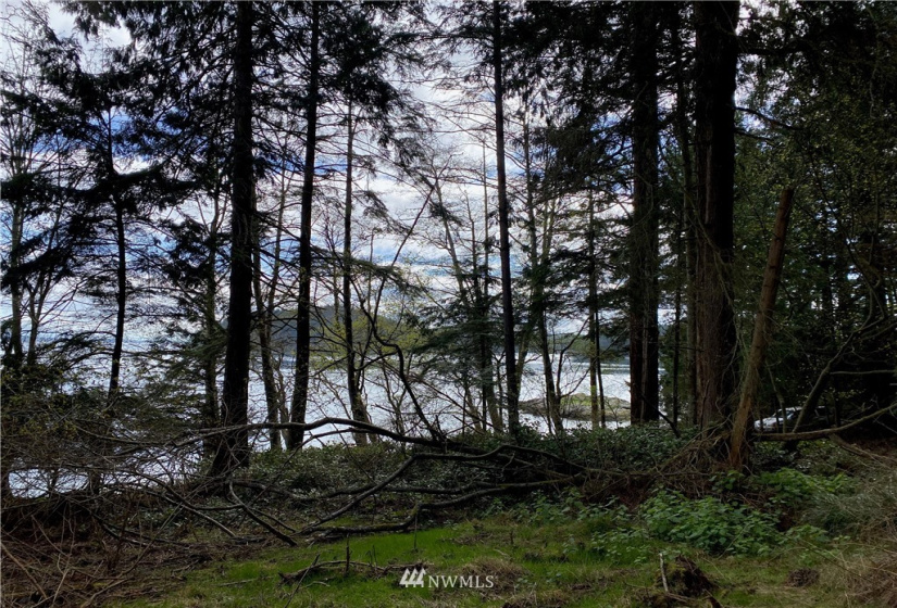 0 Lot 1 Thatcher Pass -The Hermitage, Decatur Island, Washington 98221, ,Land,For Sale,The Hermitage,Thatcher Pass -The Hermitage,NWM1817841