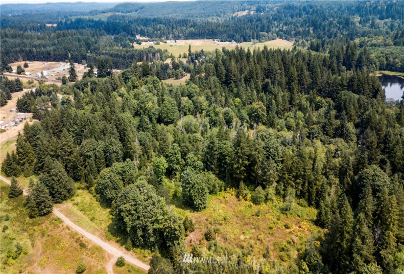 0 Angus, Tenino, Washington 98589, ,Land,For Sale,Angus,NWM1815299