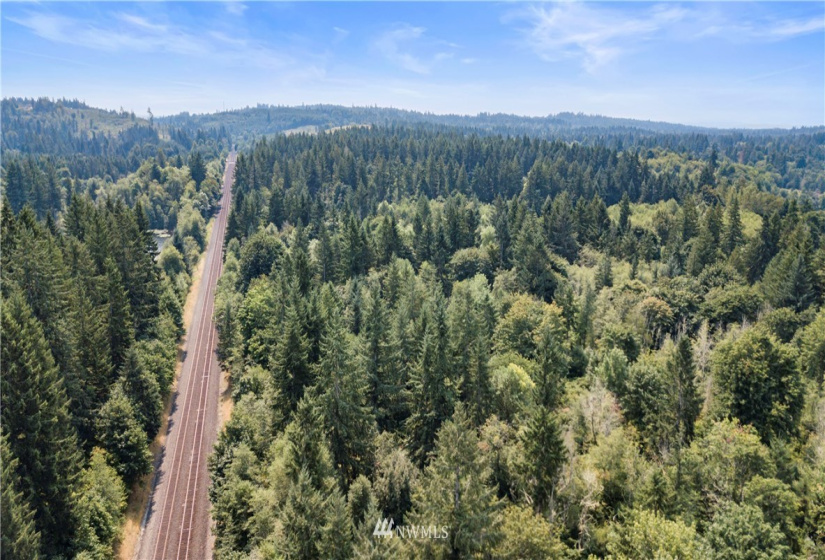 0 Angus, Tenino, Washington 98589, ,Land,For Sale,Angus,NWM1815299