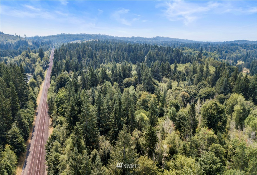 0 Angus, Tenino, Washington 98589, ,Land,For Sale,Angus,NWM1815299