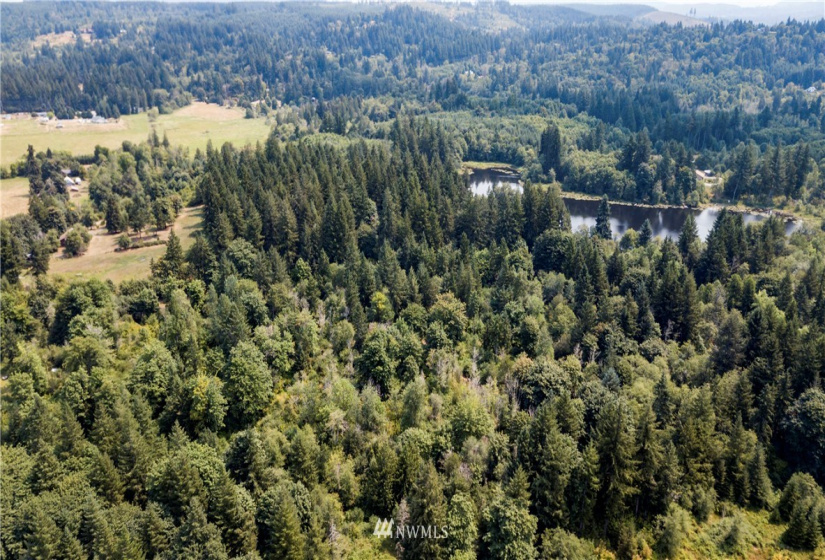 0 Angus, Tenino, Washington 98589, ,Land,For Sale,Angus,NWM1815299