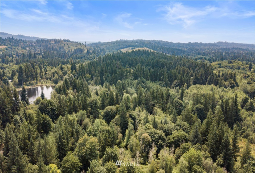 0 Angus, Tenino, Washington 98589, ,Land,For Sale,Angus,NWM1815299