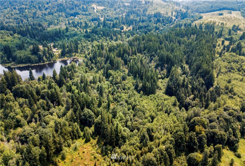 0 Angus, Tenino, Washington 98589, ,Land,For Sale,Angus,NWM1815299