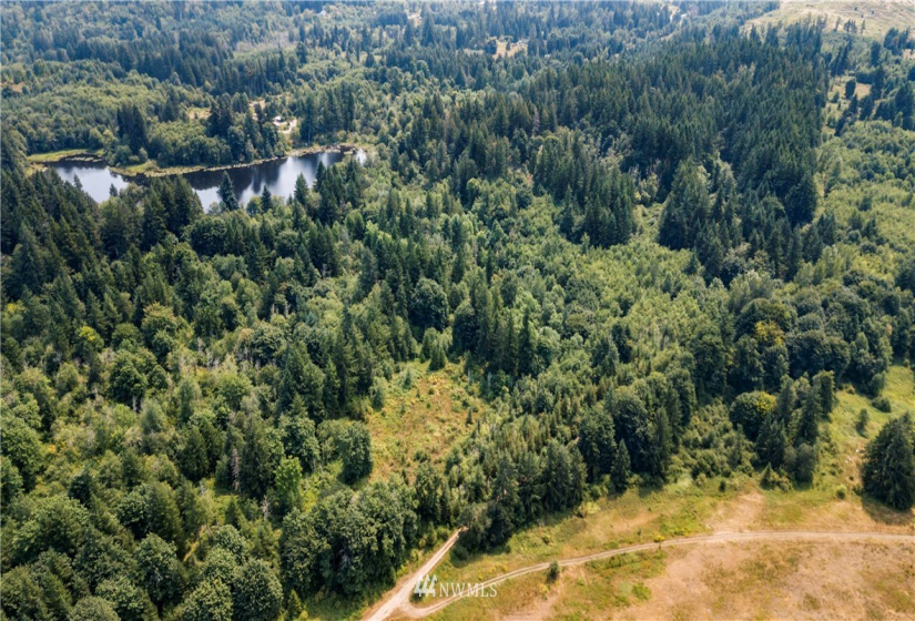 0 Angus, Tenino, Washington 98589, ,Land,For Sale,Angus,NWM1815299