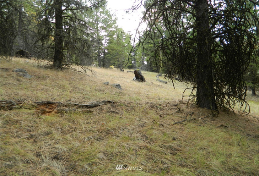 111 TBD High Country, Tonasket, Washington 98855, ,Land,For Sale,TBD High Country,NWM1819393