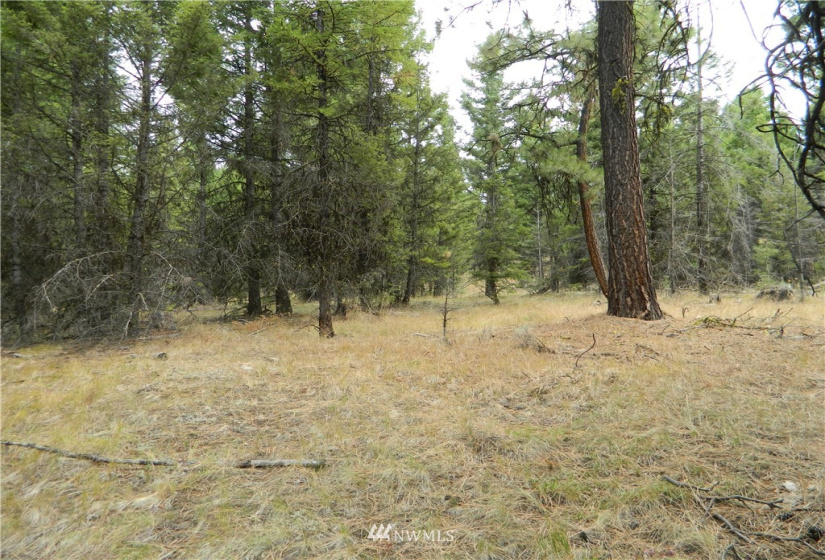 111 TBD High Country, Tonasket, Washington 98855, ,Land,For Sale,TBD High Country,NWM1819393