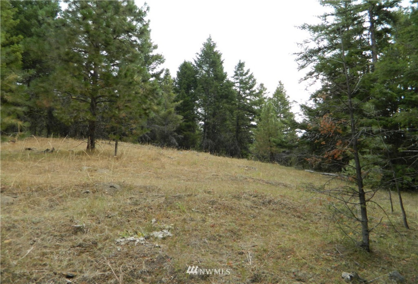 111 TBD High Country, Tonasket, Washington 98855, ,Land,For Sale,TBD High Country,NWM1819393