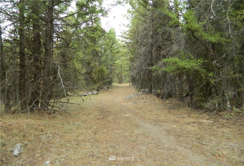 111 TBD High Country, Tonasket, Washington 98855, ,Land,For Sale,TBD High Country,NWM1819393