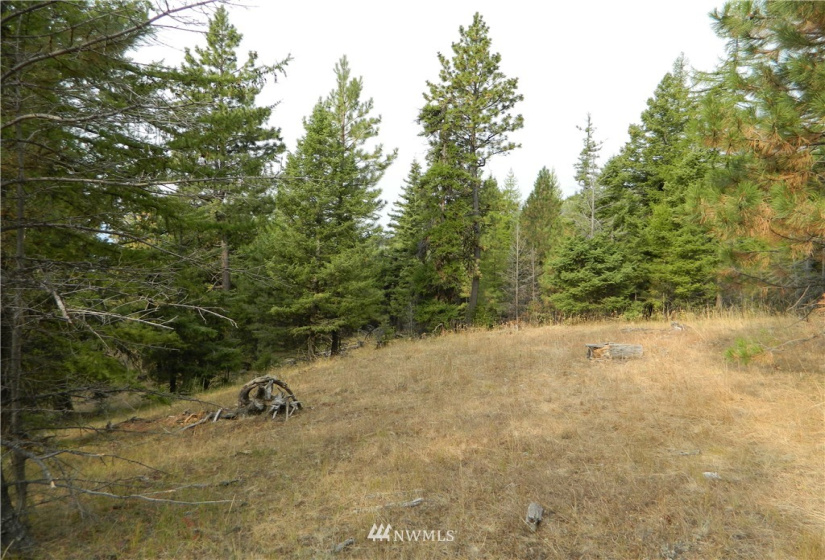 111 TBD High Country, Tonasket, Washington 98855, ,Land,For Sale,TBD High Country,NWM1819393