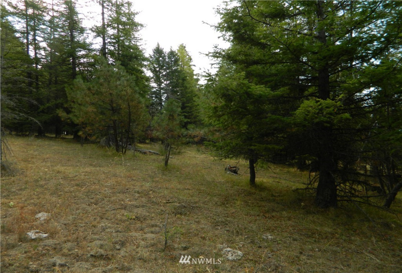 111 TBD High Country, Tonasket, Washington 98855, ,Land,For Sale,TBD High Country,NWM1819393