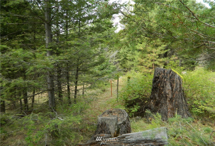 111 TBD High Country, Tonasket, Washington 98855, ,Land,For Sale,TBD High Country,NWM1819393