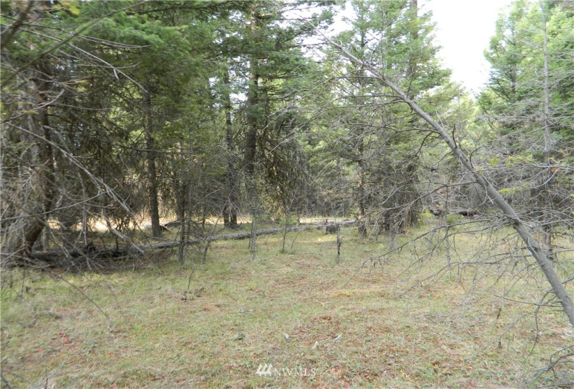 111 TBD High Country, Tonasket, Washington 98855, ,Land,For Sale,TBD High Country,NWM1819393