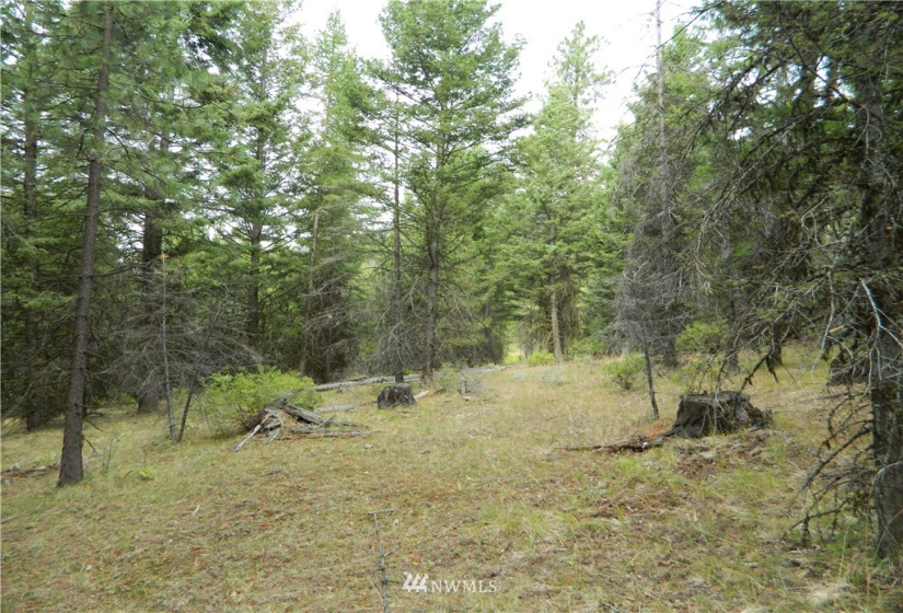 111 TBD High Country, Tonasket, Washington 98855, ,Land,For Sale,TBD High Country,NWM1819393