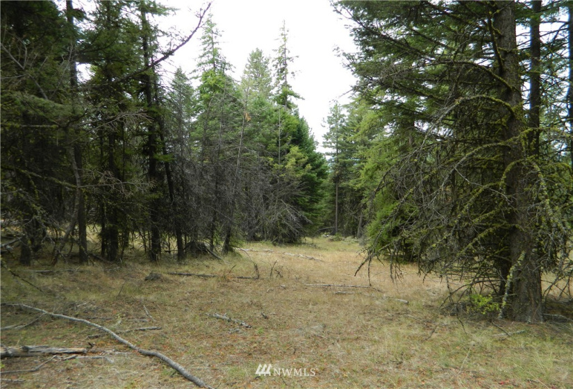 111 TBD High Country, Tonasket, Washington 98855, ,Land,For Sale,TBD High Country,NWM1819393