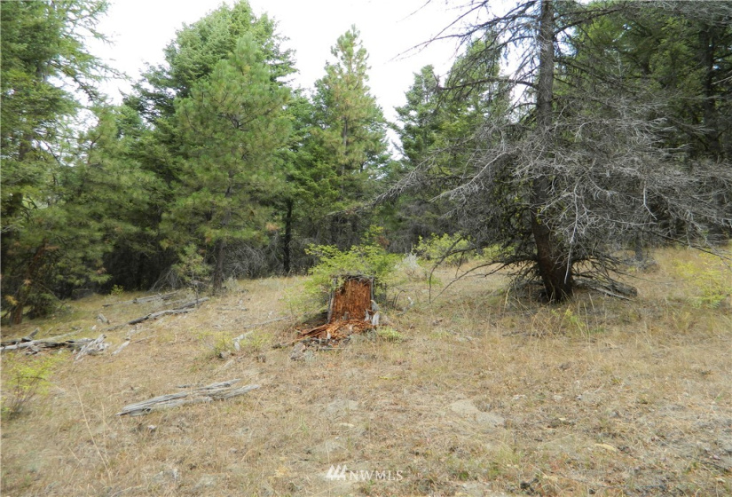 111 TBD High Country, Tonasket, Washington 98855, ,Land,For Sale,TBD High Country,NWM1819393