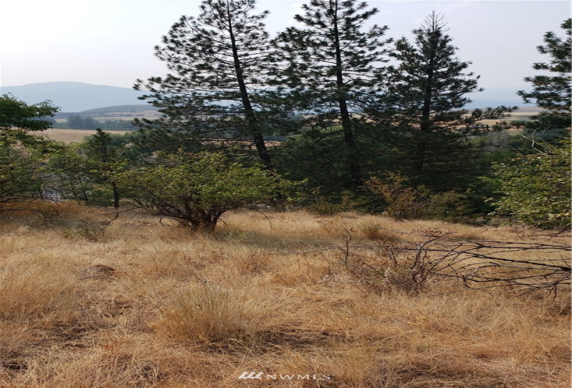 5013 Columbia River, Hunters, Washington 99137, ,Land,For Sale,Columbia River,NWM1819552