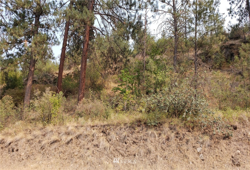 5013 Columbia River, Hunters, Washington 99137, ,Land,For Sale,Columbia River,NWM1819552