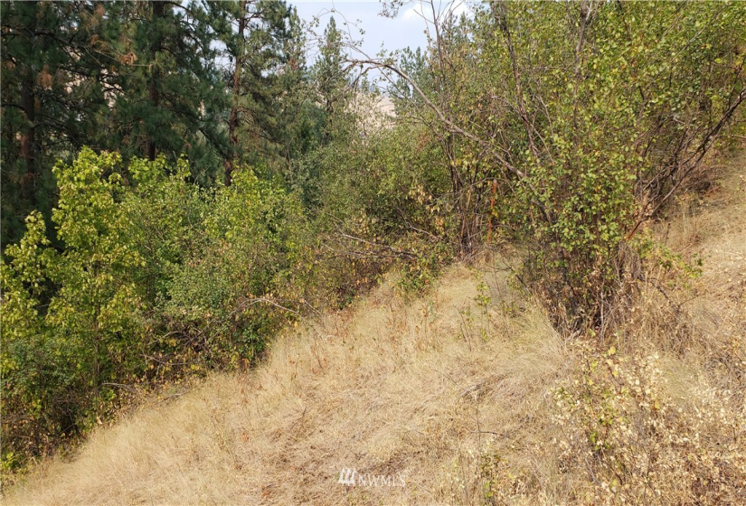 5013 Columbia River, Hunters, Washington 99137, ,Land,For Sale,Columbia River,NWM1819552