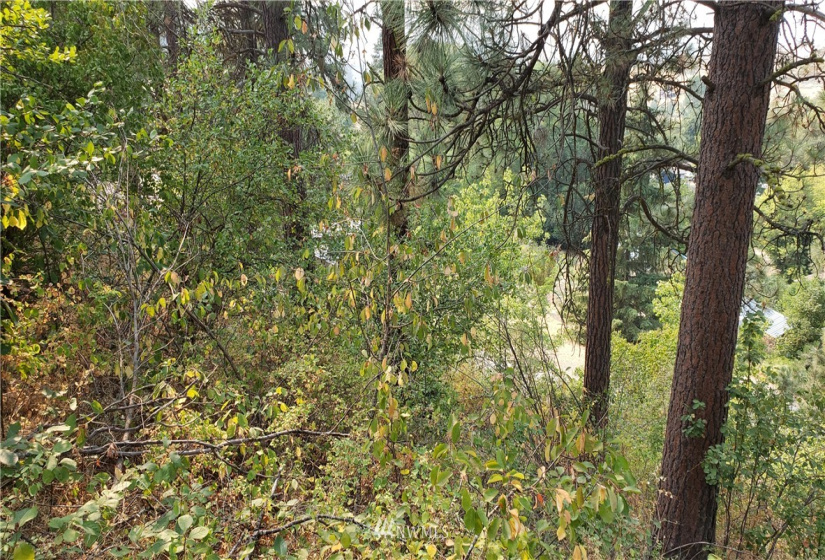 5013 Columbia River, Hunters, Washington 99137, ,Land,For Sale,Columbia River,NWM1819552