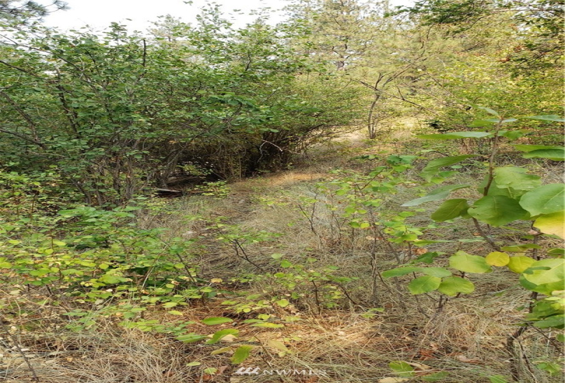 5013 Columbia River, Hunters, Washington 99137, ,Land,For Sale,Columbia River,NWM1819552