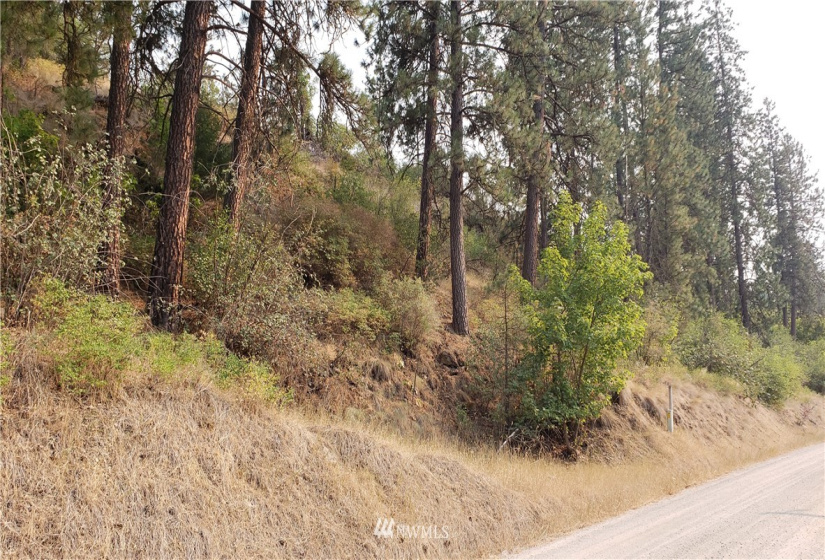 5013 Columbia River, Hunters, Washington 99137, ,Land,For Sale,Columbia River,NWM1819552