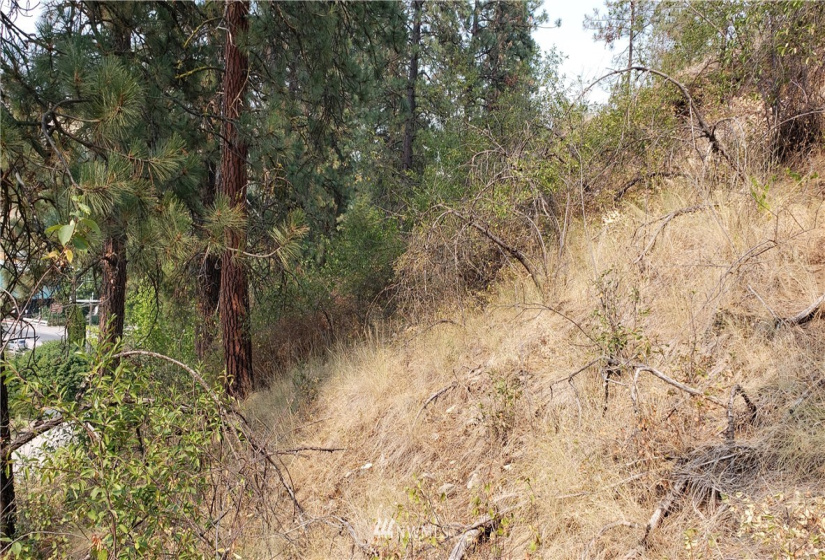 5013 Columbia River, Hunters, Washington 99137, ,Land,For Sale,Columbia River,NWM1819552