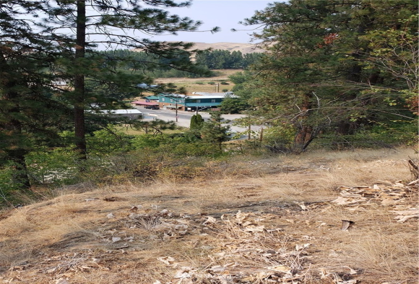 5013 Columbia River, Hunters, Washington 99137, ,Land,For Sale,Columbia River,NWM1819552