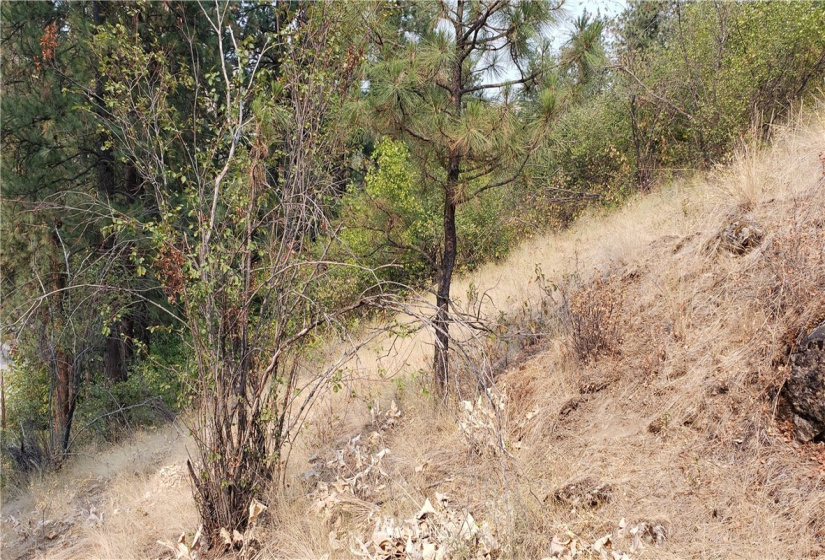 5013 Columbia River, Hunters, Washington 99137, ,Land,For Sale,Columbia River,NWM1819552