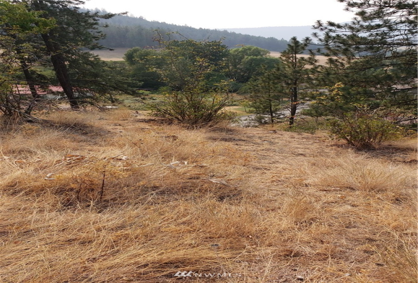 5013 Columbia River, Hunters, Washington 99137, ,Land,For Sale,Columbia River,NWM1819552