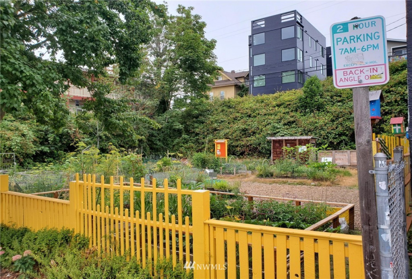 5520 University, Seattle, Washington 98105, ,Land,For Sale,University,NWM1819687