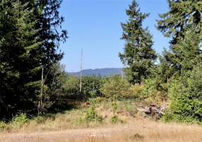 14922 Littlerock, Rochester, Washington 98579, ,Land,For Sale,Littlerock,NWM1815717