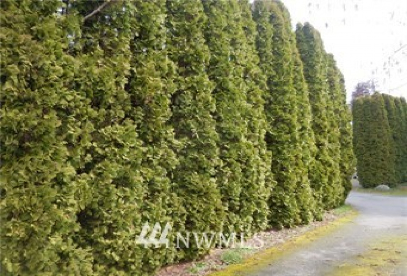 15519 56th, Edmonds, Washington 98026, ,Residential,For Sale,56th,NWM1820352