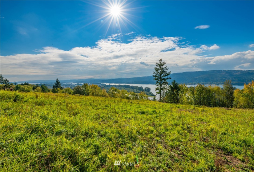 0 Risley, Kelso, Washington 98626, ,Land,For Sale,Risley,NWM1818829