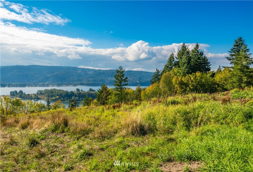 0 Risley, Kelso, Washington 98626, ,Land,For Sale,Risley,NWM1818829