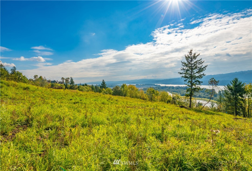 0 Risley, Kelso, Washington 98626, ,Land,For Sale,Risley,NWM1818829