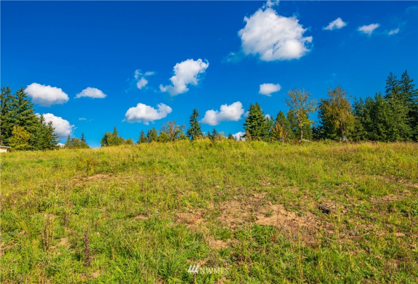 0 Risley, Kelso, Washington 98626, ,Land,For Sale,Risley,NWM1818836
