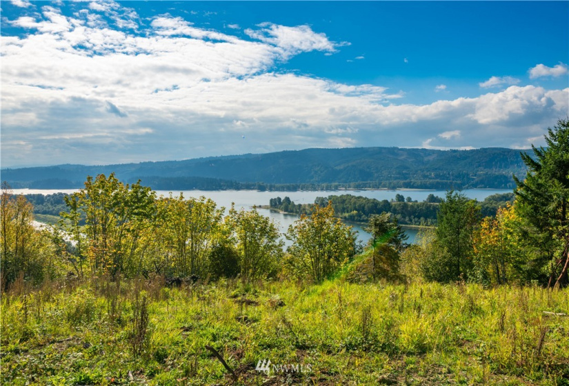 0 Risley, Kelso, Washington 98626, ,Land,For Sale,Risley,NWM1818836