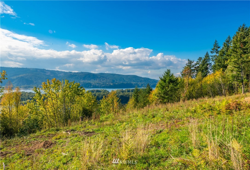 0 Risley, Kelso, Washington 98626, ,Land,For Sale,Risley,NWM1818836