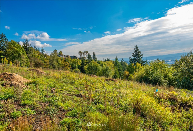 0 Risley, Kelso, Washington 98626, ,Land,For Sale,Risley,NWM1818836