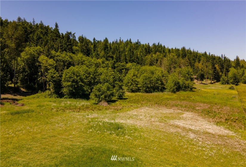 9999 Maple Creek, Sequim, Washington 98382, ,Land,For Sale,Maple Creek,NWM1819854