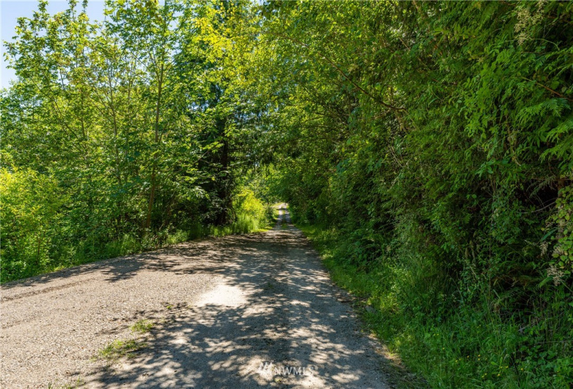 9999 Maple Creek, Sequim, Washington 98382, ,Land,For Sale,Maple Creek,NWM1819854