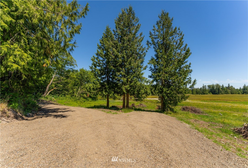 9999 Maple Creek, Sequim, Washington 98382, ,Land,For Sale,Maple Creek,NWM1819854