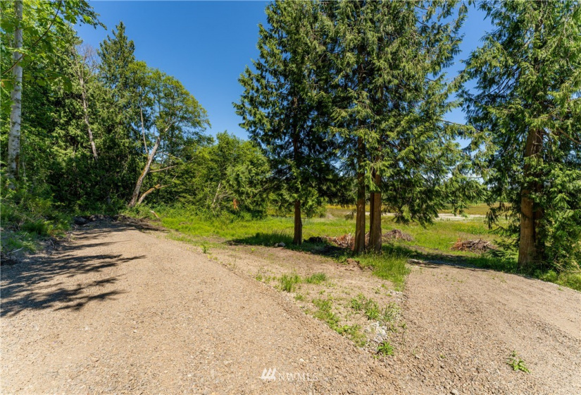 9999 Maple Creek, Sequim, Washington 98382, ,Land,For Sale,Maple Creek,NWM1819854
