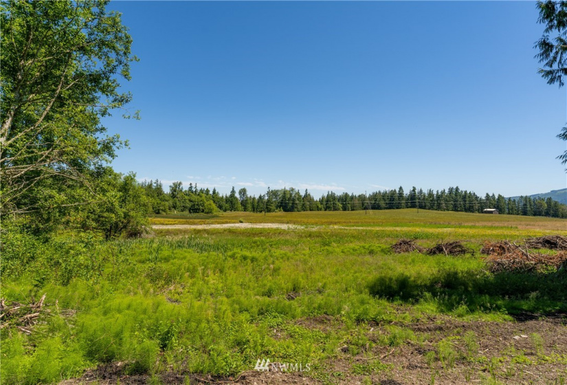 9999 Maple Creek, Sequim, Washington 98382, ,Land,For Sale,Maple Creek,NWM1819854