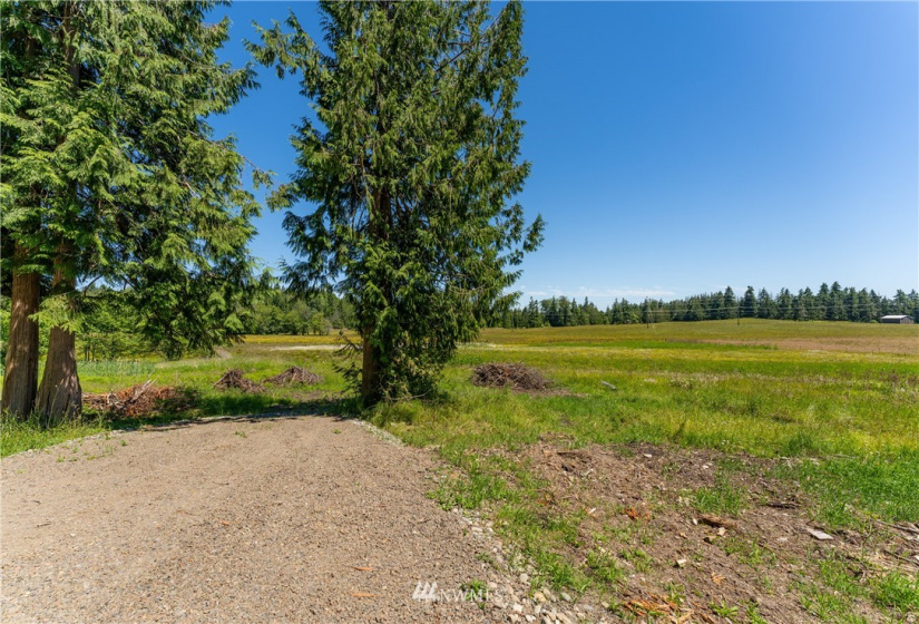 9999 Maple Creek, Sequim, Washington 98382, ,Land,For Sale,Maple Creek,NWM1819854
